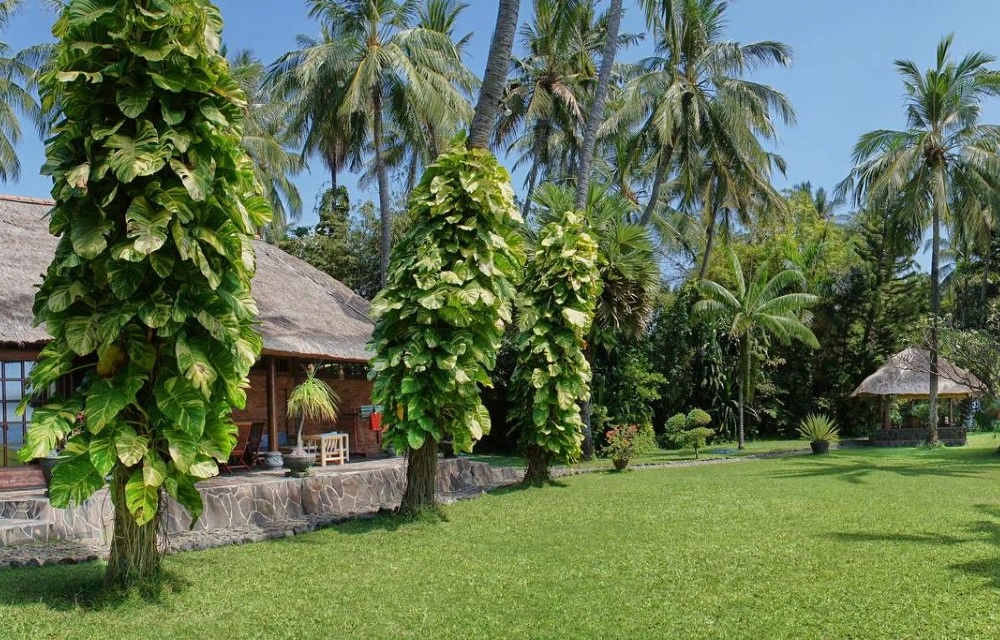 Activities and Excursions during your Stay at Ciliks Beach Garden